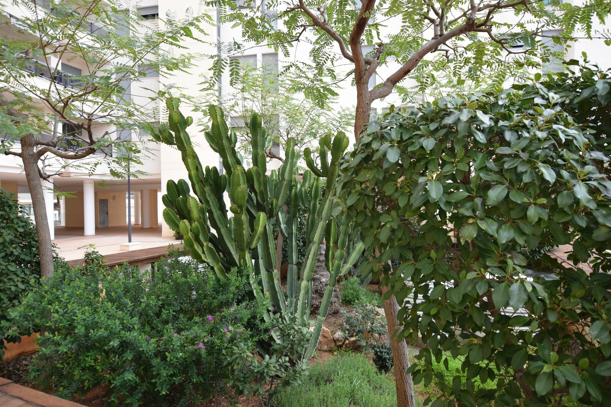 Plaza Mayor 2 Bedroom Apartment Калпе Екстериор снимка